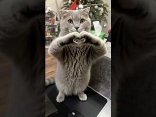 Мои ролики уже набирают тысячи просмотров у подписчиков, друзей и знак