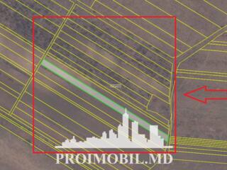 S pre vânzare se oferă teren agricol, situat în Criuleni, sat. ...