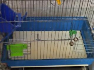 Продам клетку