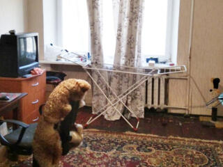 1-комн. квартира на 6 ст. Фонтана