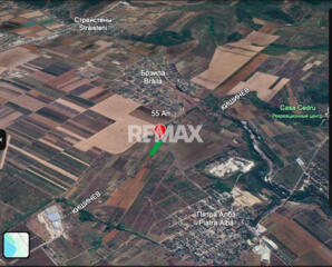 Teren agricol 55 ari Piatra Albă-Brăila, Ialoveni