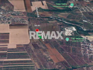 Teren agricol 54 ari Piatra Albă-Brăila, Ialoveni