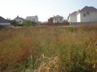 Продам участок 8 соток Совиньон