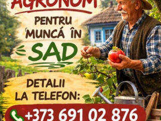 Работа Садовник, неполный рабочий день