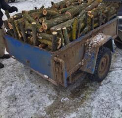 Продам дрова ясеня