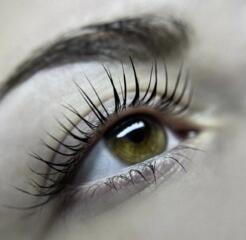 Брови и ресницы со скидкой