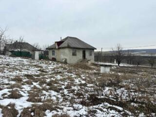 Предлагаем к продаже дом, расположенный в Яловенском р-не, с. Васиень.