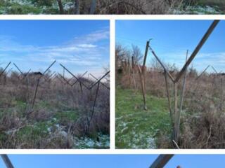 Продам готовые конструкции для высокоурожайного виноградника