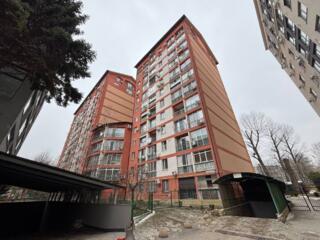 Ботаника, ул. Трандафирилор.