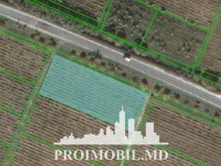 Spre vânzare se oferă teren agricol, situat în Criuleni, com. ...