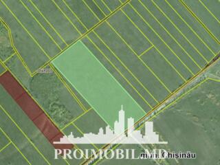 Spre vânzare se oferă oferă teren pentru constucții în sect. Rîșcani, 