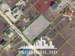 Spre vînzare se oferă teren pentruconstrucție situat în Trușeni, str. 