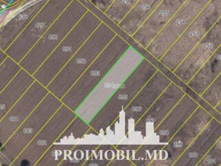 S pre vânzare se oferă teren cu destinație agricolă, situat la prima .