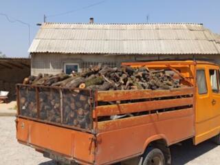 Дрова фрукты персик пиленный по сниженной цене!