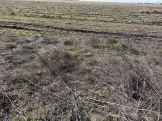 Продается участок с выгодным расположением в пгт Усатово, прямо возле 