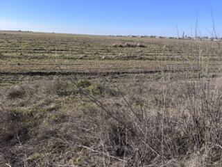 Продается земельный пай с чистым правовым статусом – все документы в .