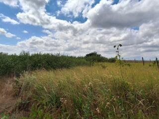 Продается земельный участок 8 соток в курортной деревне ...