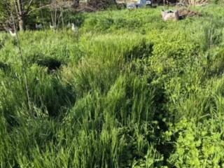 Продается участок 7,3 сот в селе Великий Дальник по Тираспольской ...