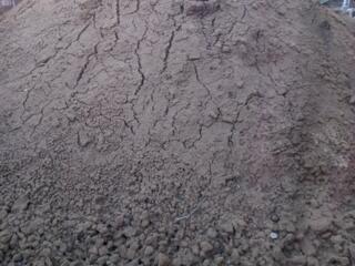 Глина отдам, самовывоз