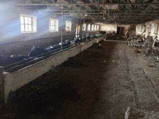 Продается готовый бизнес-ферма