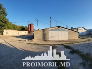 Sprevânzare bazăde producere cu moară în or. Ștefan Vodă str. ...