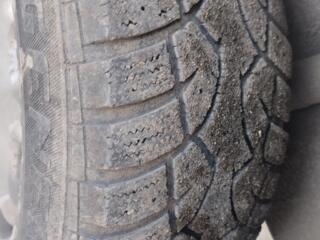 КУПЛЮ ОДНУ шину 205/70 R15 зима