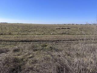 Продается земельный участок, фасадом и длинной стороной расположен ...