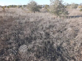 Предлагается к продаже земельный  участок 5 соток с электричеством и .