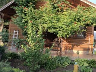 Предлагается к продаже эксклюзивный загородный дом премиального ...