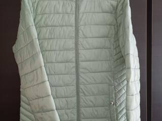 Scurtă de primăvară