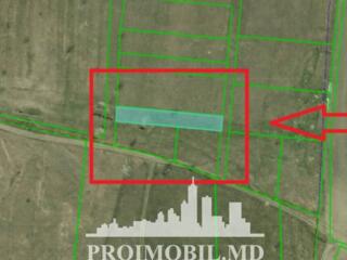 Spre vînzare se oferă teren agricol, situat în sectorul Ciocana, str. 