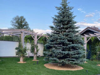 Продам 4 сотки земли на Даче Ковалевского, ул. М. Демченко