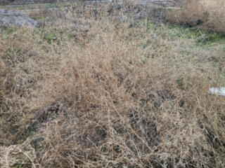 Продам участок  фасадный 6 соток Червоный Хутор