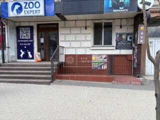 Se dă în chirie spațiu comercial pe bd. Grigore Vieru cu suprafața de 