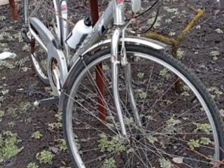 Продам итальянский велосипед недорого