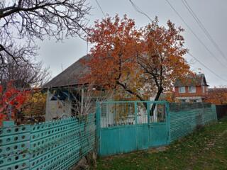 Продам дачу в СОТ Романица, село Новая Андрияшевка.