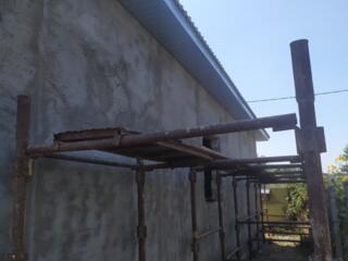 Леса СССР устойчивые 50 р сутки