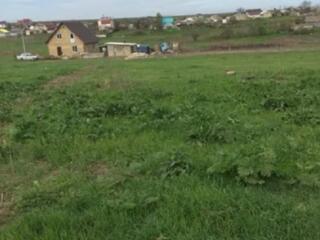 Предлагается к продаже участок в Великом Дальнике. Общая площадь 10 ..