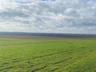 В продаже участок вблизи Сухого Лимана. До лимана 5 минут. Чудесный ..