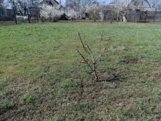 Продается просторный дом в Овидиополе с прекрасным видом на лиман. ...