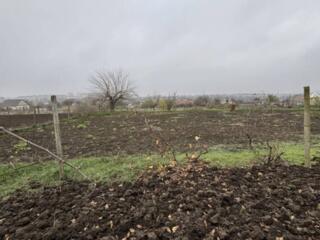 Продается участок 10 соток в с.Сычавка , 1 км от моря.  На участке ...