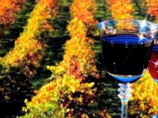 Информация о реализации вина