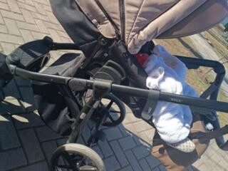 Продам 2 в 1 Adamex Nola