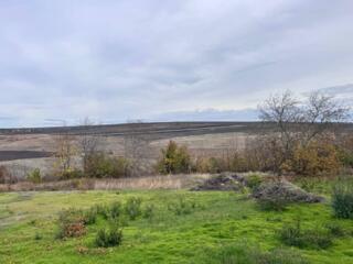 Teren 10 ari Cruzesti