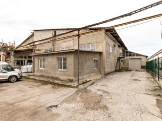 şos. Muncești, Botanica, Chisinau