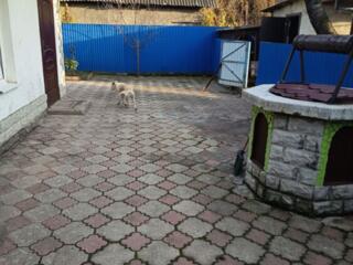 Se vinde casă în centru oraşului.