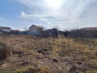 В продаже участок второй от трассы — удобный выезд и тишина. Вишневый 