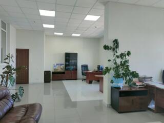 Продам офисное помещение в ЖК Бульвар Акаций