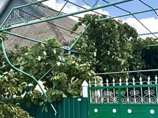 Продаётся просторный дом в селе Владимировка!