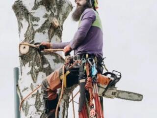 СПИЛ ДЕРЕВЬЕВ ЛЮБОЙ СЛОЖНОСТИ В Приднестровье • Недорого